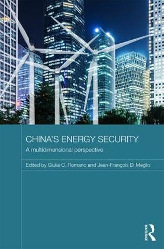 Бумажная книга «China's Energy Security: A Multidimensional Perspective» - фото №1