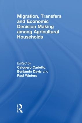 Паперова книга «Migration, Transfers and Economic Decision Making among Agricultural Households» - фото №1