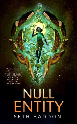 Бумажная книга «Null Entity», автор Сет Хаддон - фото №1