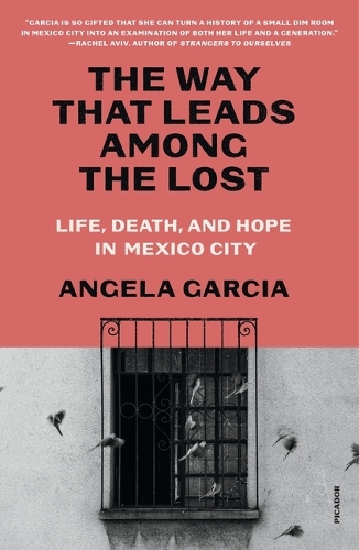 Паперова книга «The Way That Leads Among the Lost: Life, Death, and Hope in Mexico City», автор Анжела Гарсія - фото №1