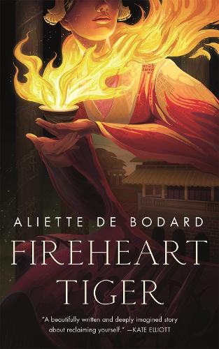 Паперова книга «Fireheart Tiger», автор Альєтт Де Бодар - фото №1