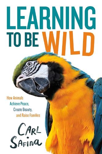 Бумажная книга «Learning to Be Wild (A Young Reader's Adaptation): How Animals Achieve Peace, Create Beauty, and Raise Families», автор Карл Сафина - фото №1