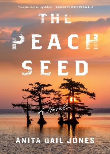 Паперова книга «The Peach Seed», автор Аніта Гейл Джонс - фото №1