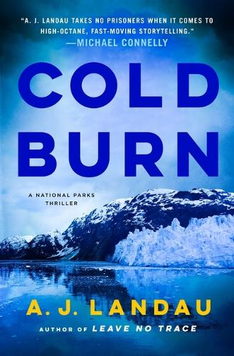 Паперова книга «Cold Burn», автор А. Я. Ландау - фото №1