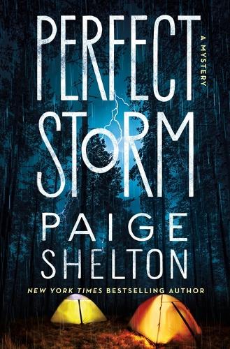Паперова книга «Perfect Storm», автор Пейдж Шелтон - фото №1
