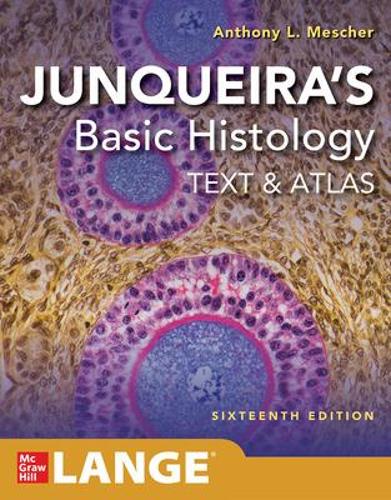 Бумажная книга «Junqueira's Basic Histology: Text and Atlas, Sixteenth Edition», автор Энтони Л. Мешер - фото №1