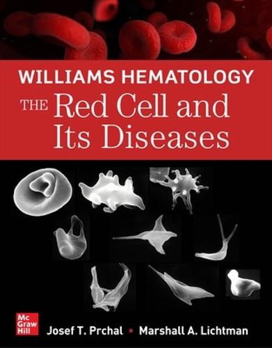 Бумажная книга «Williams Hematology: The Red Cell and Its Diseases», автор Йозеф Прчал - фото №1