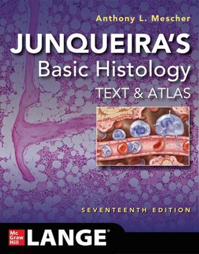 Бумажная книга «Junqueira's Basic Histology: Text and Atlas, Seventeenth Edition», автор Энтони Л. Мешер - фото №1