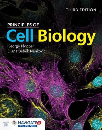 Бумажная книга «Principles Of Cell Biology», автор Джордж Плоппер - фото №1