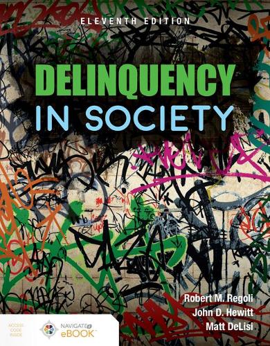Бумажная книга «Delinquency In Society», авторов Джон Д. Хьюитт, Мэтт ДеЛизи, Роберт М. Реголи - фото №1