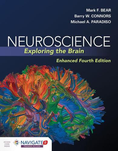 Бумажная книга «Neuroscience: Exploring The Brain, Enhanced Edition», авторов Барри Коннорс, Майкл А. Парадизо - фото №1