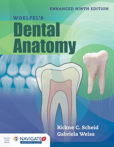Паперова книга «Woelfel's Dental Anatomy, Enhanced Edition», авторів Габріела Вайс, Рікне С. Шайд - фото №1