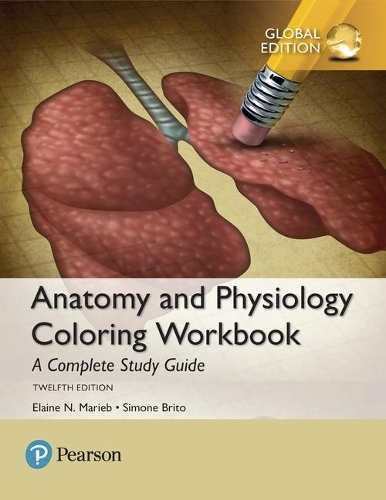 Бумажная книга «Anatomy and Physiology Coloring Workbook: A Complete Study Guide, Global Edition», авторов Элейн Мариб, Симона Брито - фото №1
