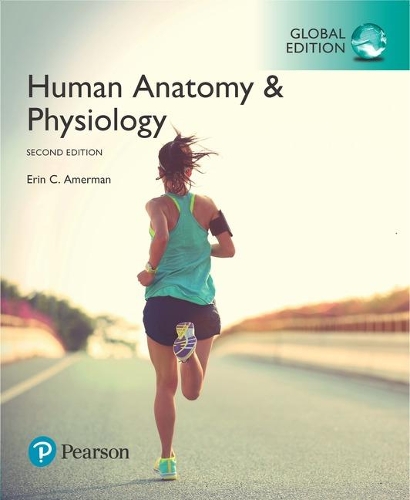 Бумажная книга «Human Anatomy & Physiology, Global Edition», автор Эрин К. Амерман - фото №1