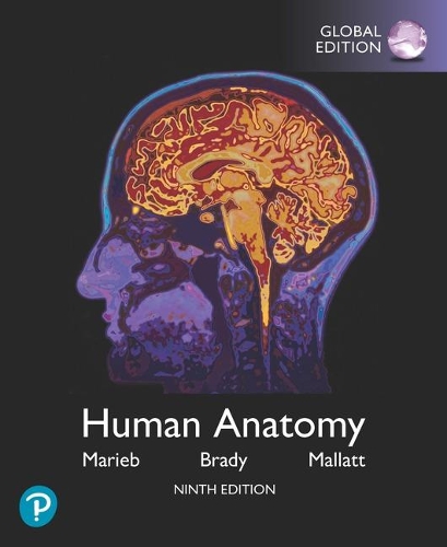 Бумажная книга «Human Anatomy, Global Edition», авторов Элейн Мариб, Джон Маллатт, Патриция Брейди - фото №1