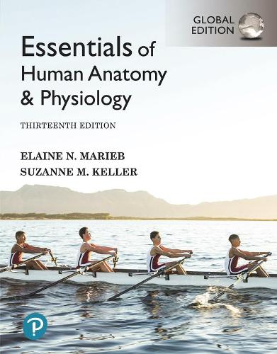 Бумажная книга «Essentials of Human Anatomy & Physiology, Global Edition», авторов Элейн Мариб, Сюзанна Келлер - фото №1