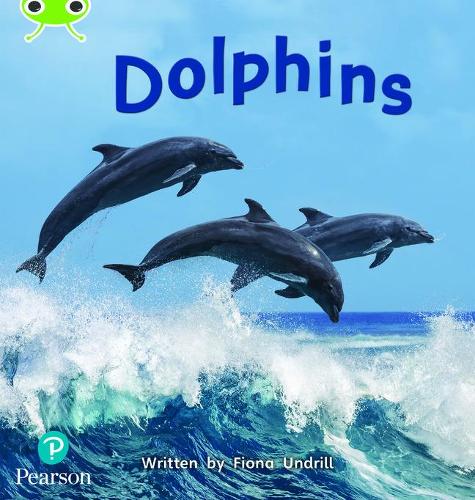 Паперова книга «Bug Club Phonics - Phase 5 Unit 13: Dolphins», автор Фіона Ундрілл - фото №1