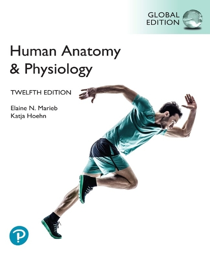Бумажная книга «Human Anatomy & Physiology, Global Edition», авторов Элейн Мариб, Катя Хон - фото №1