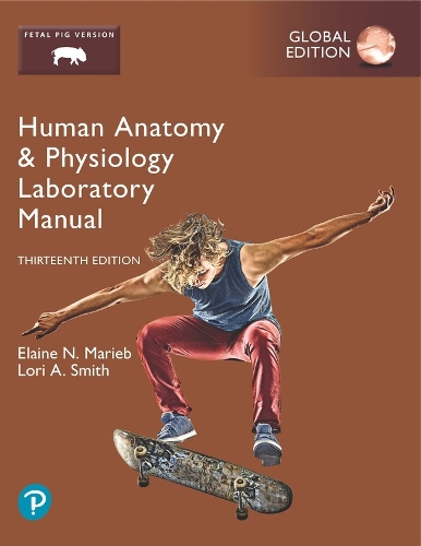 Бумажная книга «Human Anatomy & Physiology Laboratory Manual, Fetal Pig Version, Global Edition», авторов Элейн Мариб, Лори Смит - фото №1