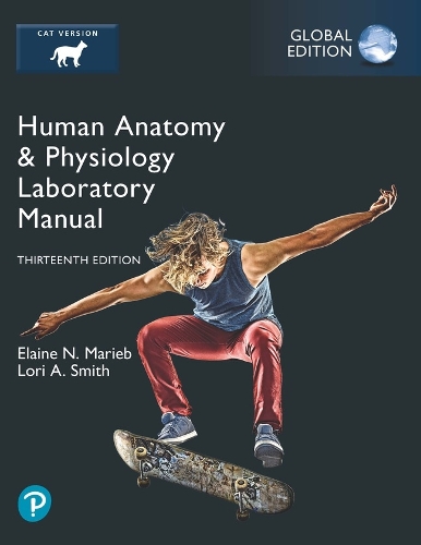 Бумажная книга «Human Anatomy & Physiology Laboratory Manual, Cat Version, Global Edition», авторов Элейн Мариб, Лори А. Смит - фото №1