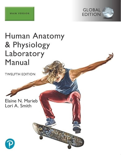 Бумажная книга «Human Anatomy & Physiology Laboratory Manual, Main Version, Global Edition», авторов Элейн Мариб, Лори Смит - фото №1