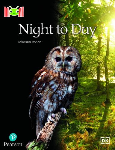 Бумажная книга «Bug Club Reading Corner: Age 4-5: Night to Day», автор Йоханна Рохан - фото №1