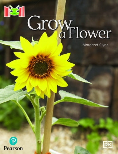 Бумажная книга «Bug Club Reading Corner: Age 4-7: Grow a Flower», автор Маргарет Клайн - фото №1