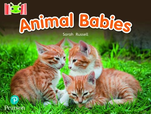 Бумажная книга «Bug Club Reading Corner: Age 4-7: Animal Babies», автор Сара Рассел - фото №1