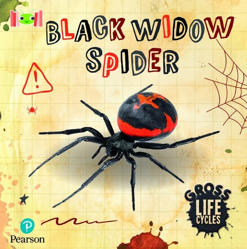 Бумажная книга «Bug Club Reading Corner: Age 5-7: Gross Lifecycles: Black Widow Spider», автор Уильям Энтони - фото №1