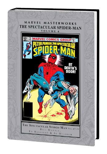 Паперова книга «Marvel Masterworks: The Spectacular Spider-man Vol. 6», авторів Білл Мантло, Том Дефалко - фото №1