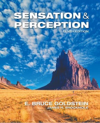 Бумажная книга «Sensation and Perception», автор Э. Голдштейн - фото №1