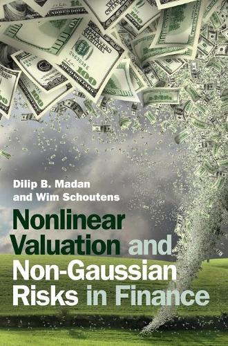 Бумажная книга «Nonlinear Valuation and Non-Gaussian Risks in Finance», автор Вим Схаутенс - фото №1