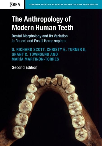 Бумажная книга «The Anthropology of Modern Human Teeth: Dental Morphology and its Variation in Recent and Fossil Homo sapiens», авторов Г. Ричард Скотт, Грант К. Таунсенд - фото №1
