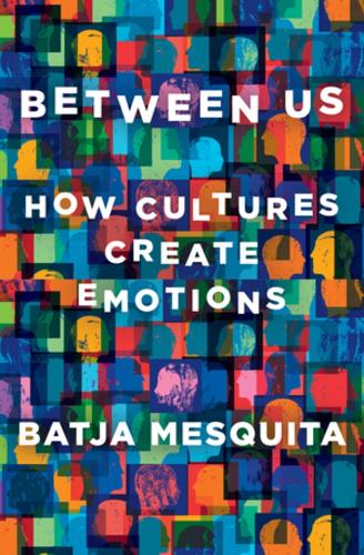 Бумажная книга «Between Us: How Cultures Create Emotions», автор Батя Мескита - фото №1