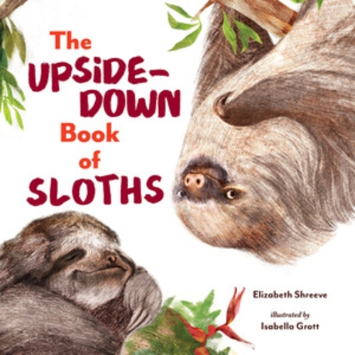 Паперова книга «The Upside-Down Book of Sloths», автор Елізабет Шрів - фото №1