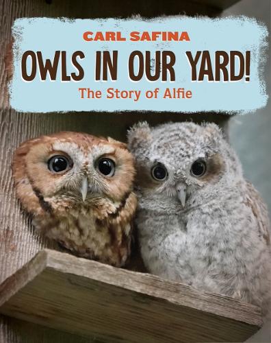 Бумажная книга «Owls in Our Yard!: The Story of Alfie» - фото №1