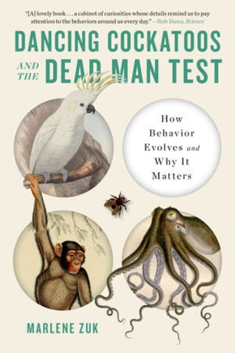 Паперова книга «Dancing Cockatoos and the Dead Man Test: How Behavior Evolves and Why It Matters», автор Марлен Зук - фото №1