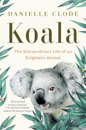 Бумажная книга «Koala: The Extraordinary Life of an Enigmatic Animal» - фото №1