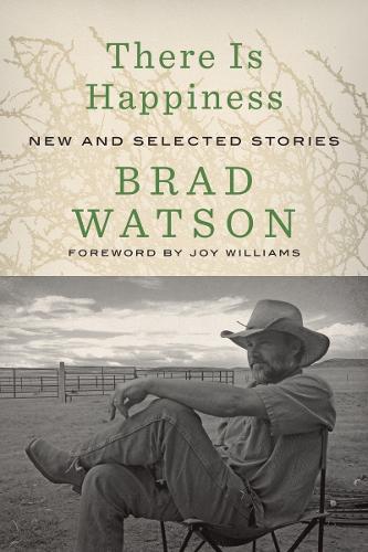 Бумажная книга «There Is Happiness: New and Selected Stories» - фото №1