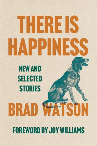 Бумажная книга «There Is Happiness: New and Selected Stories», автор Брэд Уотсон - фото №1