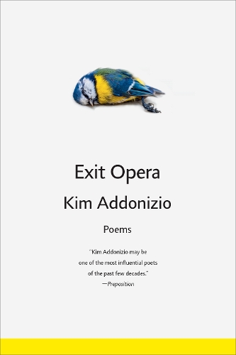 Бумажная книга «Exit Opera: Poems», автор Ким Аддонизио - фото №1