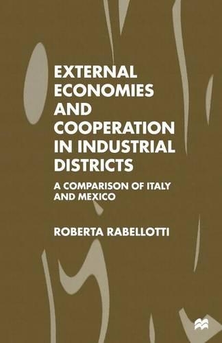 Бумажная книга «External Economies and Cooperation in Industrial Districts: A Comparison of Italy and Mexico», автор Роберта Рабеллотти - фото №1