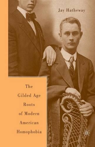 Бумажная книга «The Gilded Age Construction of Modern American Homophobia», автор Дж. Хэтуэй - фото №1