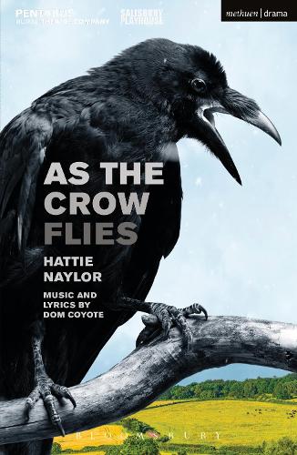 Бумажная книга «As the Crow Flies», автор Хэтти Нейлор - фото №1