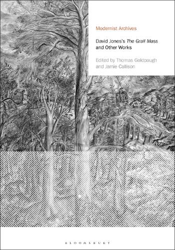 Бумажная книга «David Jones's The Grail Mass and Other Works», автор Дэвид Джонс - фото №1