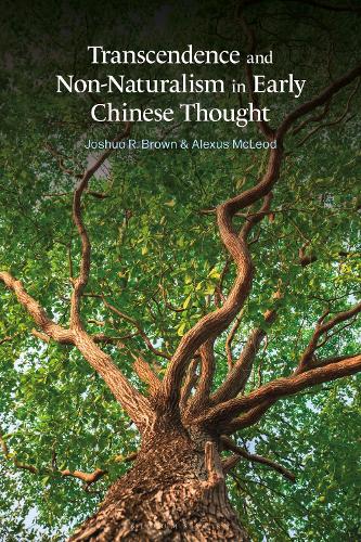Паперова книга «Transcendence and Non-Naturalism in Early Chinese Thought», авторів Алексіс Маклеод, Джошуа Р. Браун - фото №1