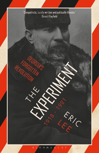 Паперова книга «The Experiment: Georgia's Forgotten Revolution 1918-1921», автор Ерік Лі - фото №1
