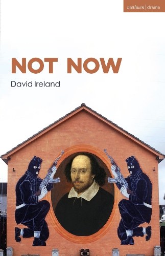 Паперова книга «Not Now», автор Девід Айрленд - фото №1