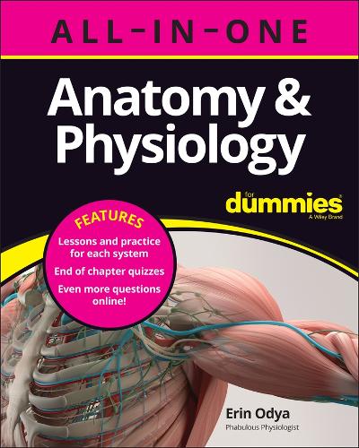 Бумажная книга «Anatomy & Physiology All-in-One For Dummies (+ Chapter Quizzes Online)», автор Эрин Одиа - фото №1