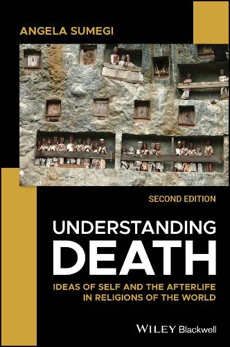 Бумажная книга «Understanding Death: Ideas of Self and the Afterlife in Religions of the World», автор Анжела Сумеги - фото №1